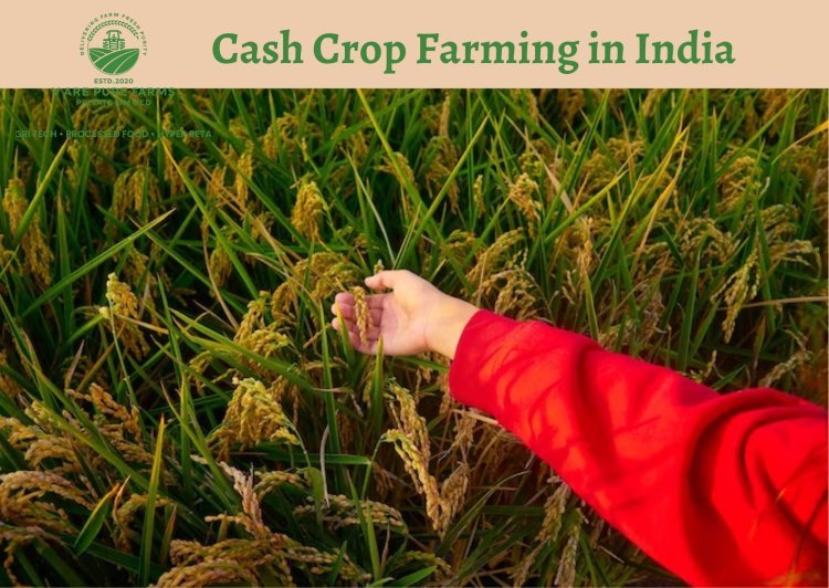 Benefits of Cash Crop Farming in India