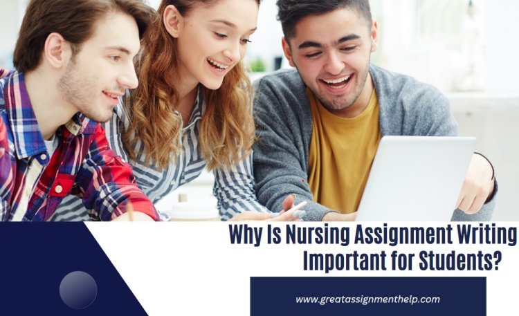 Why Is Nursing Assignment Writing Important for Students?