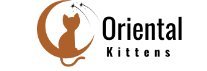 Regal Charm: The Tale of Queen, the Siamese Oriental Kitten"