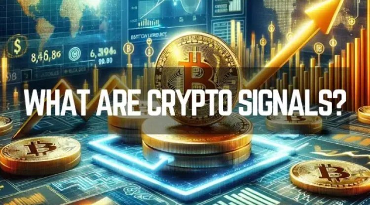 Best Crypto Signals Telegram - Trade Crypto Safely in 2024