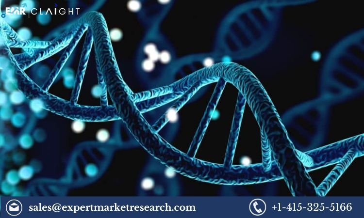 Europe Gene Expression Market Challenges and Opportunities, Key Industry Players and Market Forecast | 2032