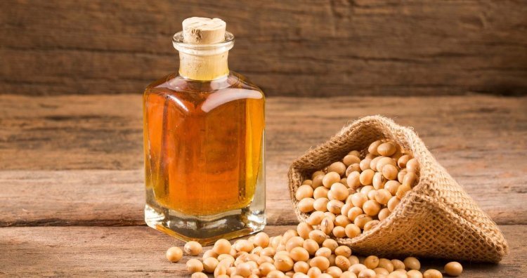The Soybean Oil Market Growth Opportunities and Trends 2032