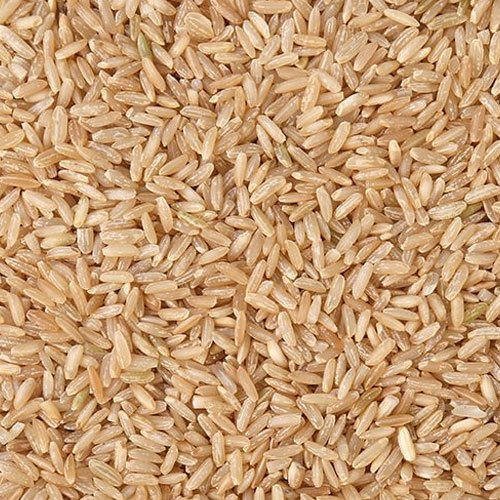 Brown Rice Market Insights and Strategic Forecast 2024-2032