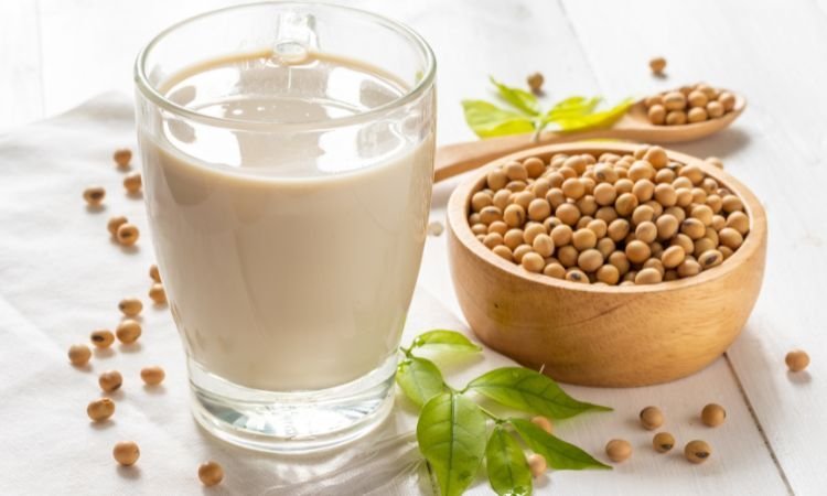 Soy Protein Market: A Comprehensive Market Analysis