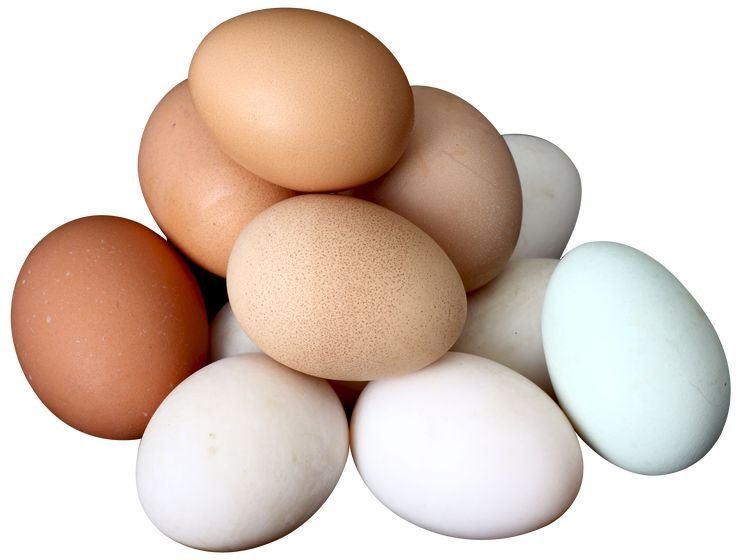 Egg Market Prospects: Trends, Growth, Size, and Forecasts (2024-2032)