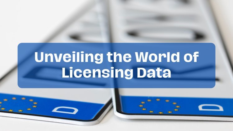 Exploring the World of Licenses Dataset