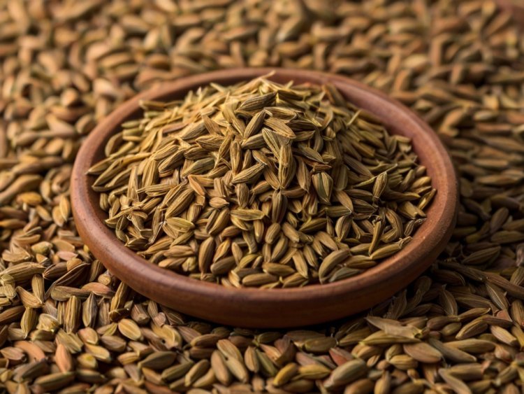 Cumin Processing Plant Project Report 2024: Machinery, Raw Materials and Investment Opportunities