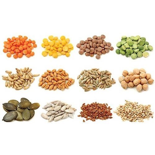 Strategic Insights into Vegetable Seeds Market: Trends, Challenges, and Opportunities 2024-2032