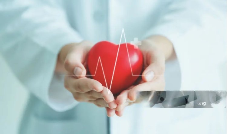 Your Heart's Ultimate Guardian: The Best Cardiologist in Hyderabad