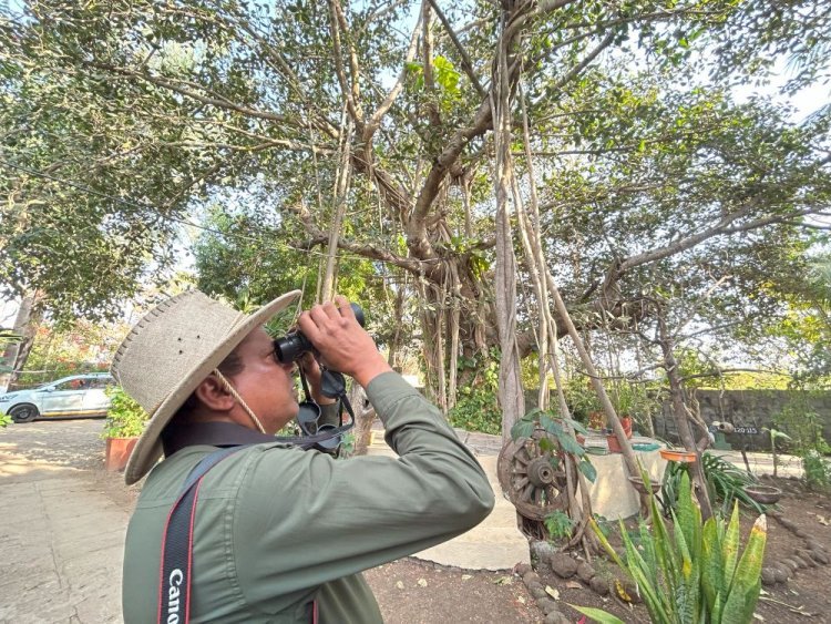 Wildlife Photography Tours | Gir Forest Safari Package Sasan Gir