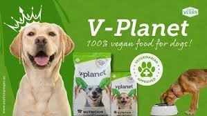 Food to Reduce Weight in Dogs Dubai Price