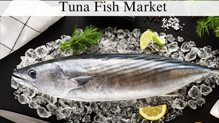Tuna Fish Market Size, Growth and Report Through 2032