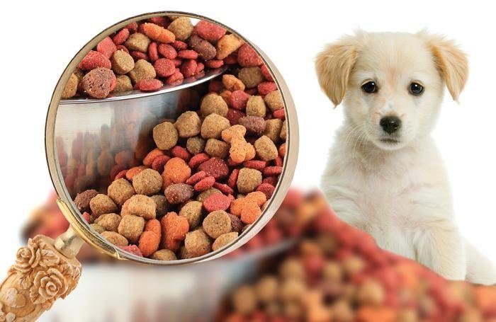 Strategic Insights into Pet Food Market: Trends, Challenges, and Opportunities 2024-2032
