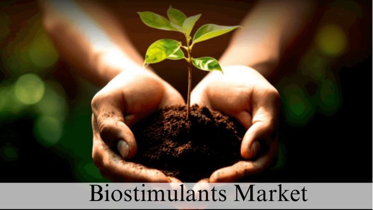 Biostimulants Market Size and Growth Analysis Through 2032