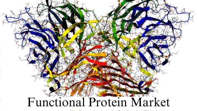 Functional Protein Market Size and Growth Analysis Through 2032
