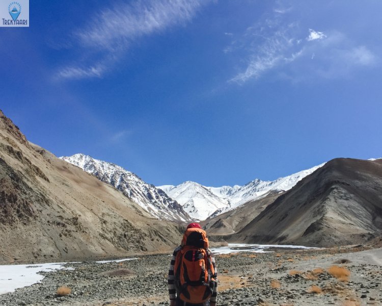 Pangarchulla Trek: Exploring the Himalayan Wilderness