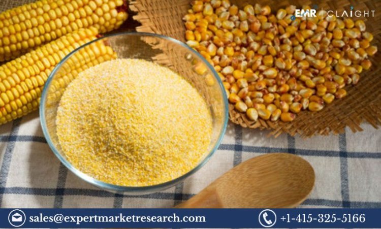 Corn Bran Market Size, Share, Trends and Industry Report 2024-2032