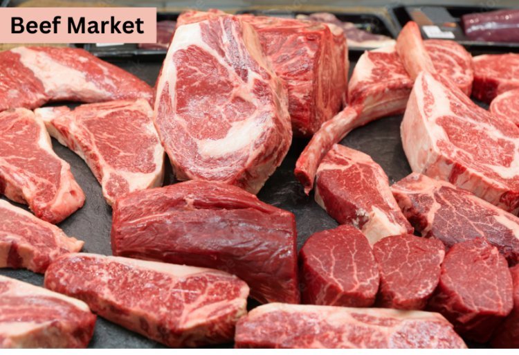 Beef Market Segmentation: Key Trends and Industry Growth, 2024-2032