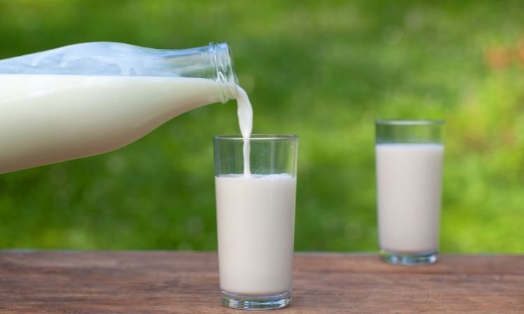 Fresh Milk Market: Key Insights, Trends, & Outlook | 2032